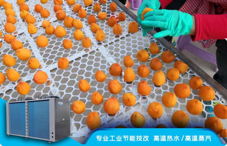 高溫烘干熱泵烘干